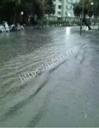 成都暴雨雷声最大